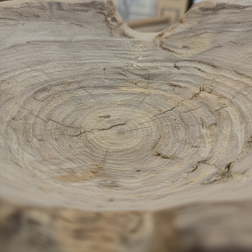 Close-up of a wooden bowl showing natural rings and texture, part of the Prakriti Root Bowl Decor handcrafted for rustic and earthy home decor.
