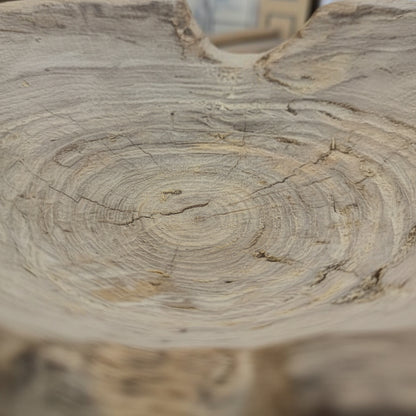 Close-up of a wooden bowl showing natural rings and texture, part of the Prakriti Root Bowl Decor handcrafted for rustic and earthy home decor.